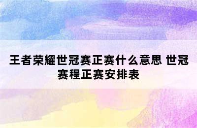 王者荣耀世冠赛正赛什么意思 世冠赛程正赛安排表